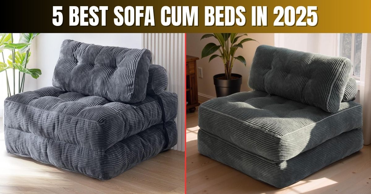 5 Best Sofa Cum Beds in 2025